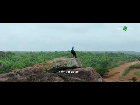 Eco World YouTube video thumbnail